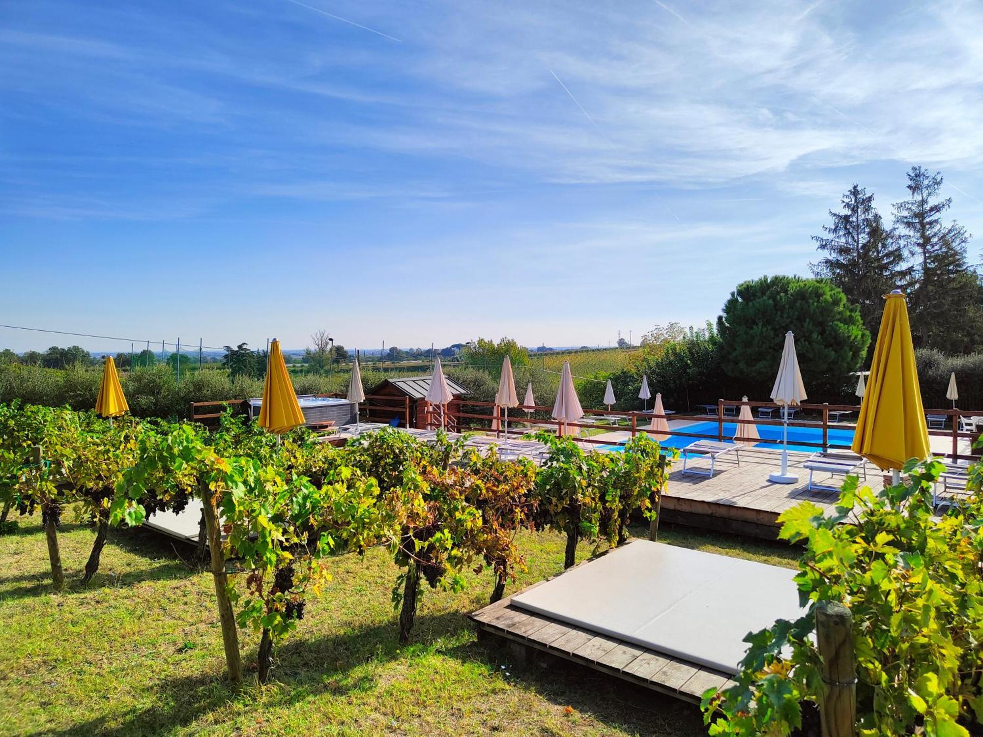 Agriturismo E Cantina La Sabbiona Faenza Bagian luar foto