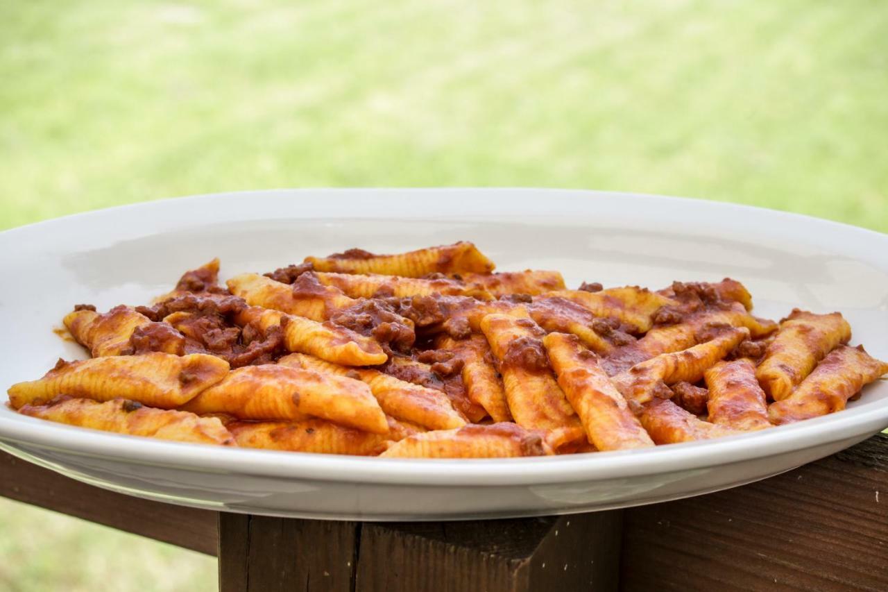Agriturismo E Cantina La Sabbiona Faenza Bagian luar foto